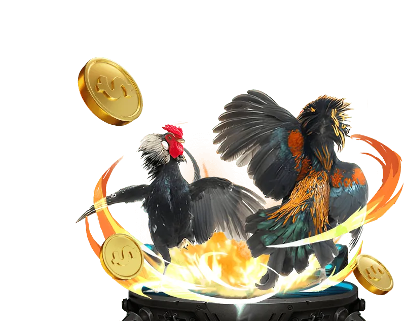 Cài đặt ứng dụng 555WIN